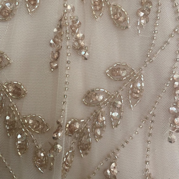 COPY - Mother of the bride/groom Adrianna Papell blush gown size 16 - Picture 3 of 4